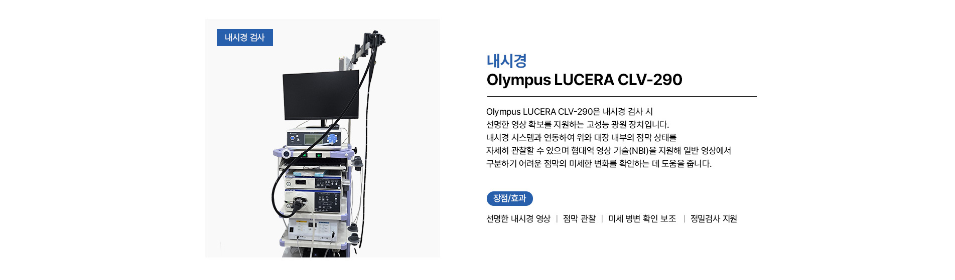 내시경