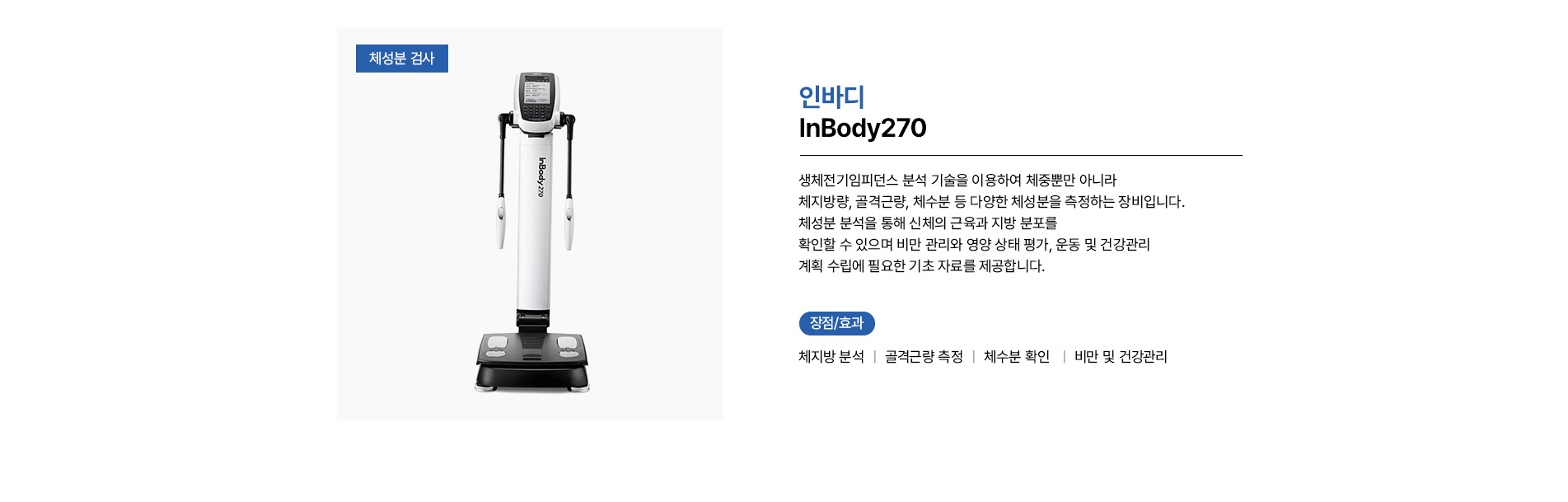 인바디